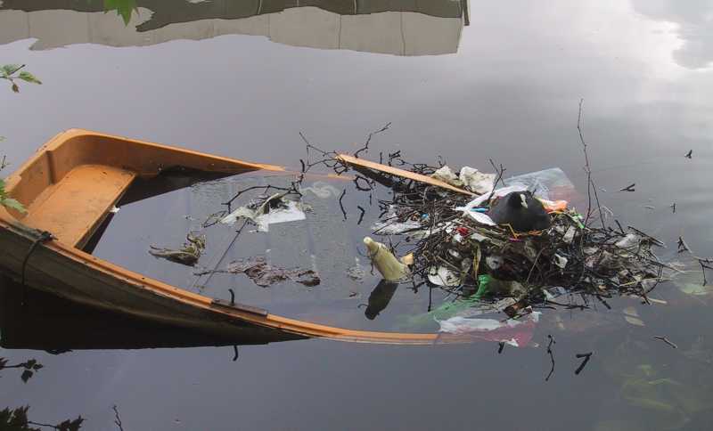 img_4316-flotsam_nest